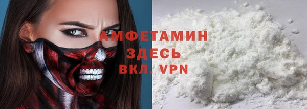 индика Арсеньев