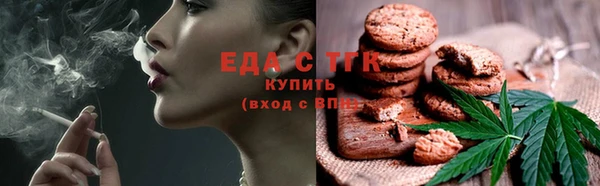 индика Арсеньев