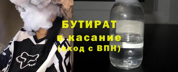 индика Арсеньев
