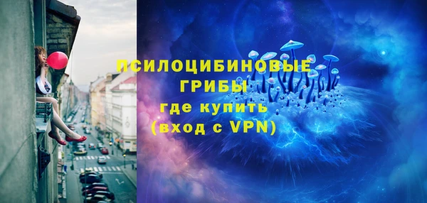 винт Армянск
